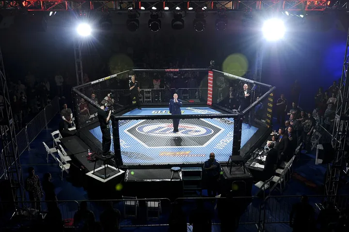 UFC betting