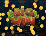 Mobile Big Wins Slots