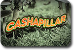 Cashapillar